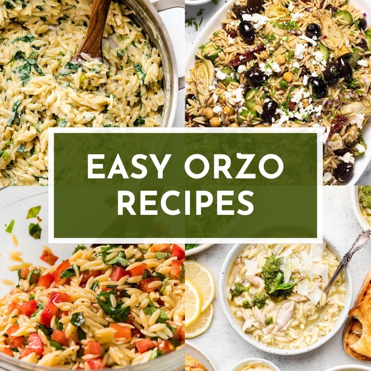 Easy Orzo Recipes for Quick Weeknight Dinners