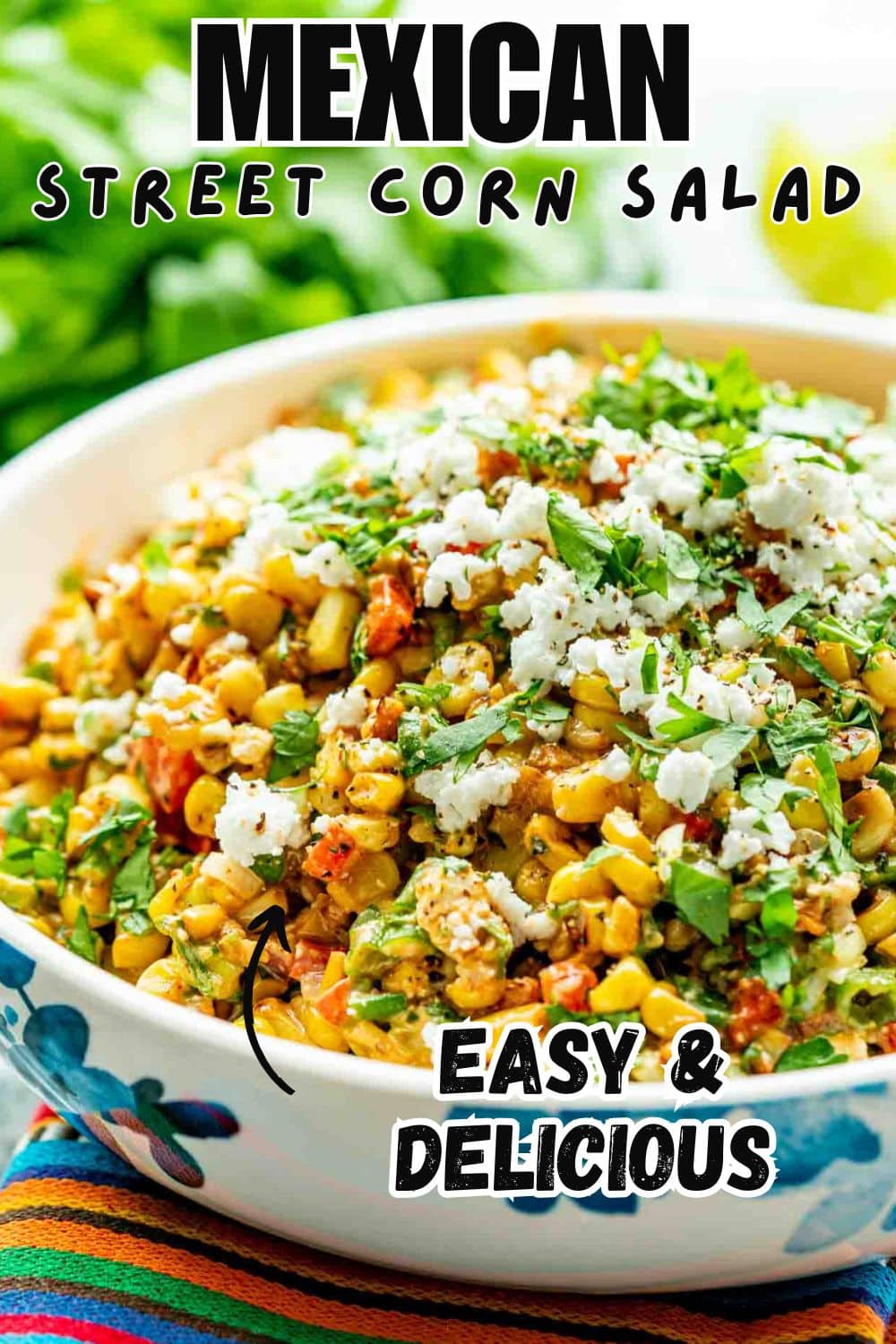 Master Mexican Cooking: Easy Recipes for Bold, Zesty Flavors