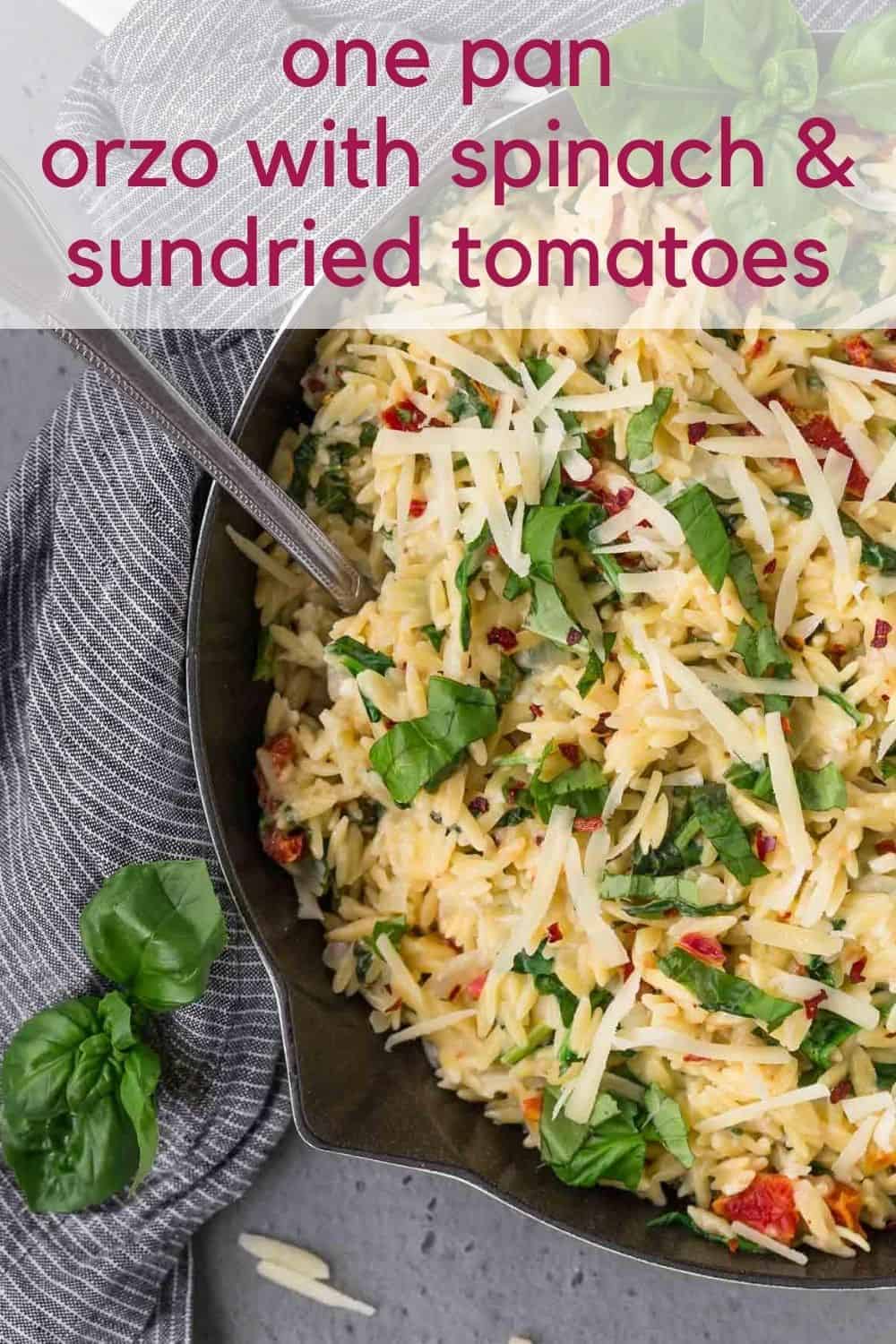 Vegetarian Orzo Recipes Full of Taste and Nutrition